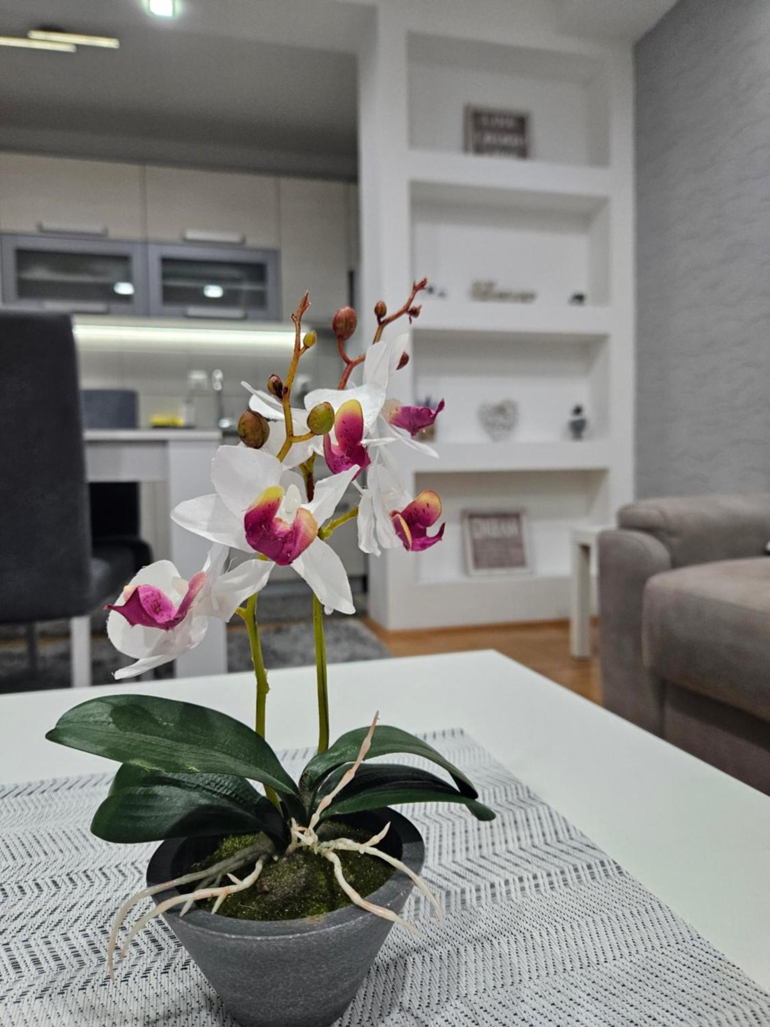 Apartman Vukota Pirot Extérieur photo